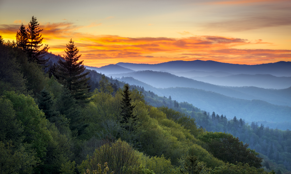 10 Unforgettable Experiences You Can't Miss in Asheville, NC
