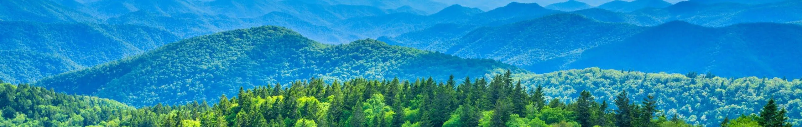 Best Asheville Breweries 2025 | Top Craft Beer Spots in Asheville NC
